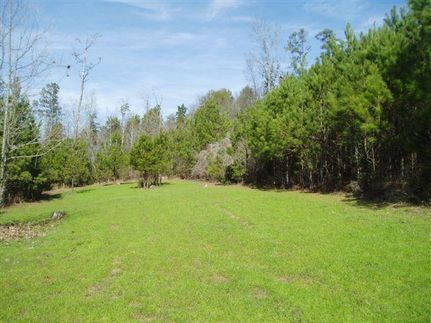 Farm and Ranch in Clarke County, Alabama