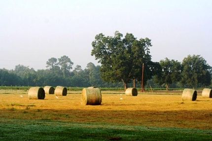 Farm and Ranch in Candler County, Georgia