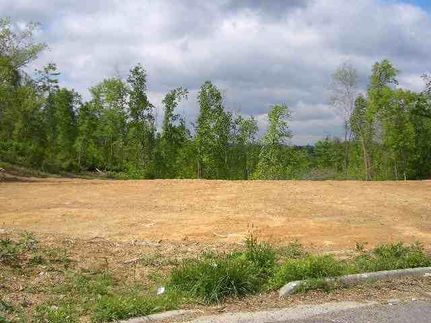 Land in Wythe County, Virginia