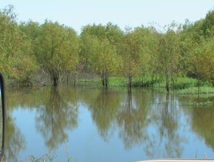 Land in Tensas Parish, Louisiana