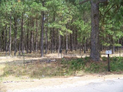 Land in Bleckley County, Georgia