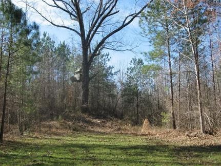 Recreational Property in Holmes County, Mississippi