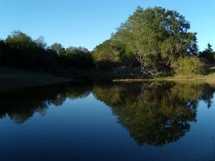Farm and Ranch in Leon County, Texas
