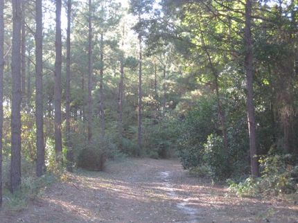 Farm and Ranch in Houston County, Texas