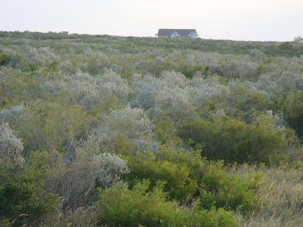 Land in Starr County, Texas