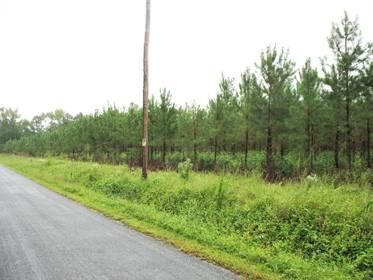 Farm and Ranch in Southampton County, Virginia