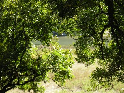 Timberland Property in Kimble County, Texas