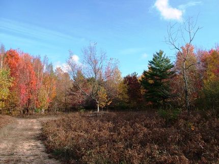Farm and Ranch in Tuscola County, Michigan