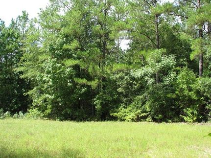 Farm and Ranch in Monroe County, Alabama