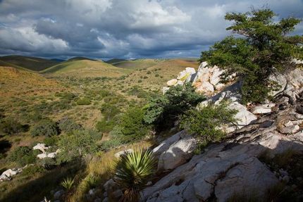 Farm and Ranch in Jeff Davis County, Texas