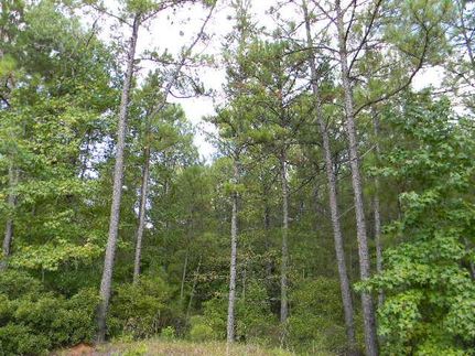Farm and Ranch in Montgomery County, Alabama