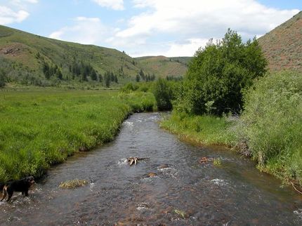 Farm and Ranch in Caribou County, Idaho