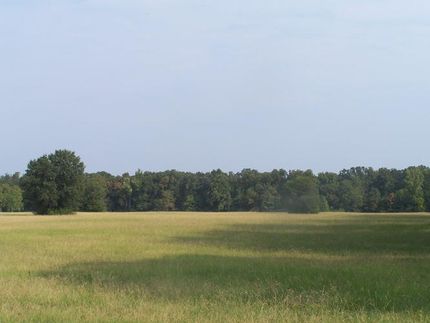 Land in Bowie County, Texas