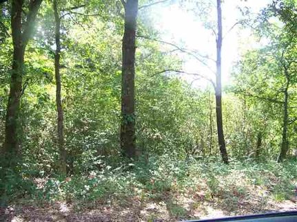 Farm and Ranch in Lamar County, Texas