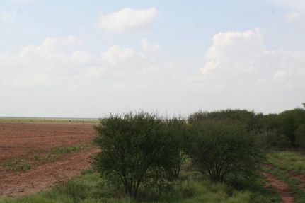 Land in Hidalgo County, Texas