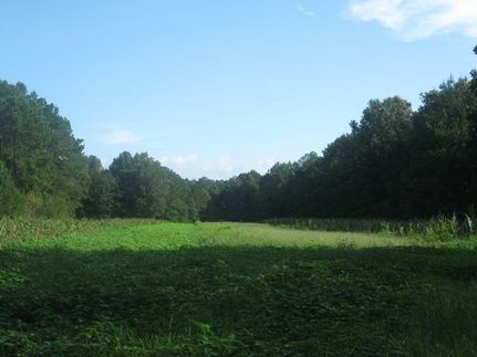 Land in Jasper County, South Carolina