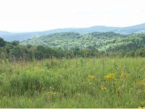 Farm and Ranch in Orange County, Vermont