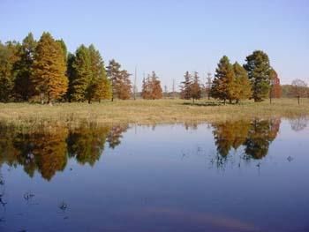 Farm and Ranch in Carlisle County, Kentucky
