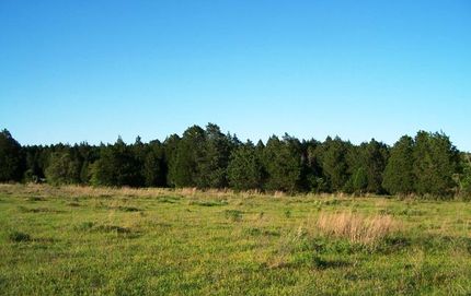 Farm and Ranch in Bastrop County, Texas