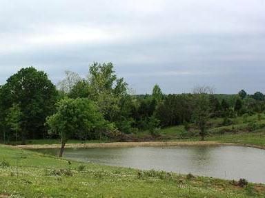 Timberland Property in Prentiss County, Mississippi