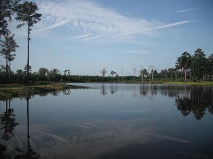 Land in Wilkinson County, Georgia