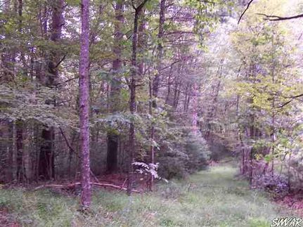 Farm and Ranch in Grayson County, Virginia