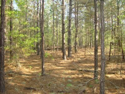 Farm and Ranch in Kershaw County, South Carolina