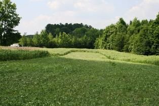 Farm and Ranch in Mecklenburg County, Virginia