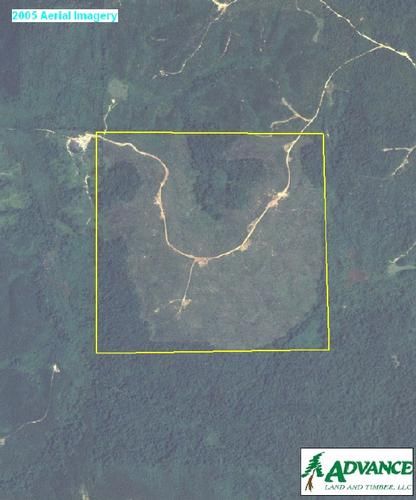 Land in Alcorn County, Mississippi