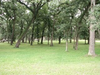 Farm and Ranch in Waller County, Texas