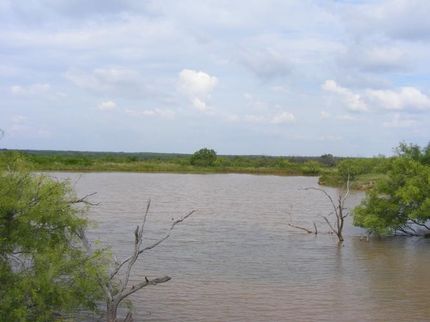 Land in Young County, Texas