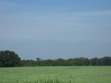 Farm and Ranch in Camp County, Texas