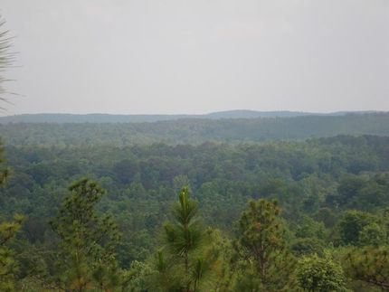 Farm and Ranch in Shelby County, Alabama