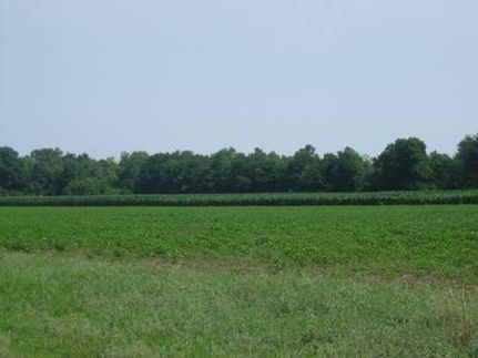 Farm and Ranch in Madison Parish, Louisiana