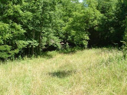 Farm and Ranch in Fayette County, Indiana