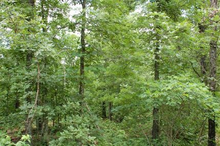 Farm and Ranch in Howell County, Missouri