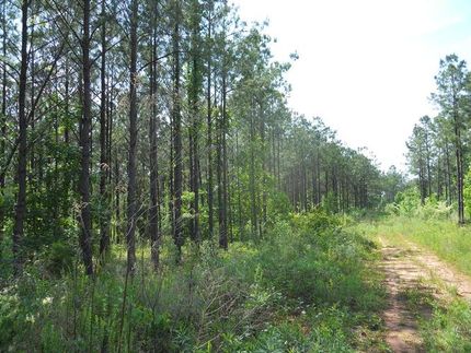 Farm and Ranch in Barbour County, Alabama