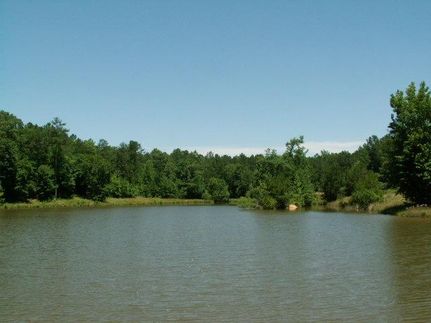 Commercial Property in Meriwether County, Georgia