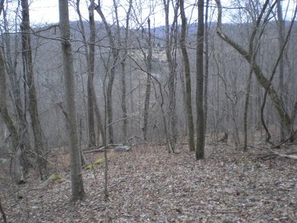 Farm and Ranch in Hawkins County, Tennessee