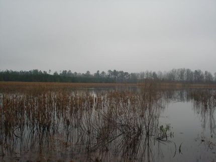 Farm and Ranch in Marlboro County, South Carolina