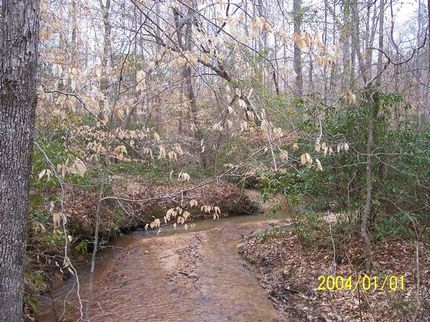 Farm and Ranch in Marion County, Alabama