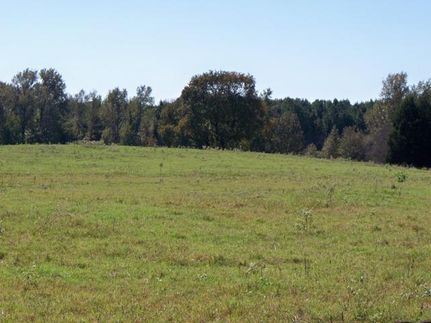 Farm and Ranch in Camp County, Texas