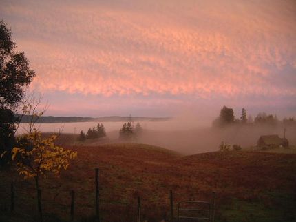 House in Mendocino County, California