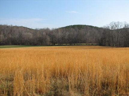 Land in Wayne County, Tennessee
