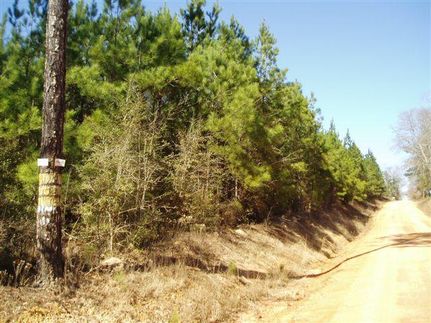 Farm and Ranch in Conecuh County, Alabama