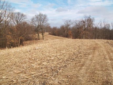 Farm and Ranch in Pike County, Illinois
