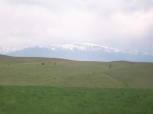 Farm and Ranch in Carbon County, Montana