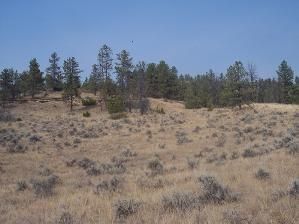 Farm and Ranch in Stillwater County, Montana