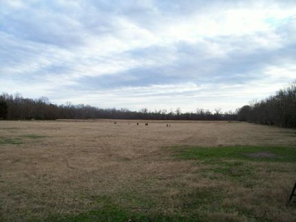 Farm and Ranch in Avoyelles Parish, Louisiana