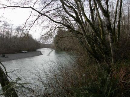 Timberland Property in Grays Harbor County, Washington